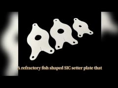 hoogtemperatuur Sic setter plaat